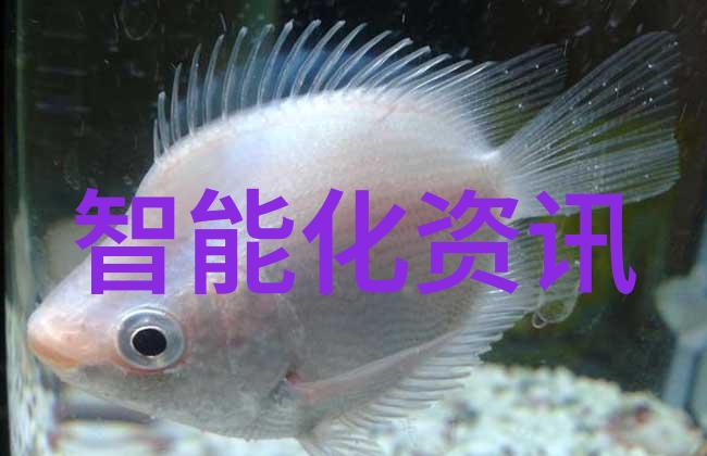 探索未来物流密封件设备在现代供应链管理中的应用与创新