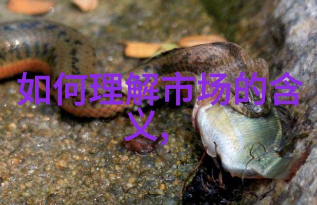从纸上到现实可行性报告的执行秘诀