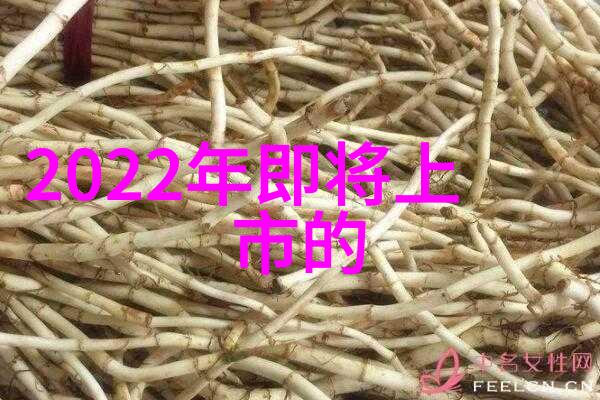 离心设备分类及其在工业中的应用