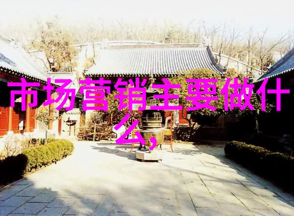 新生入学后会接受什么样的导学辅导和实习机会