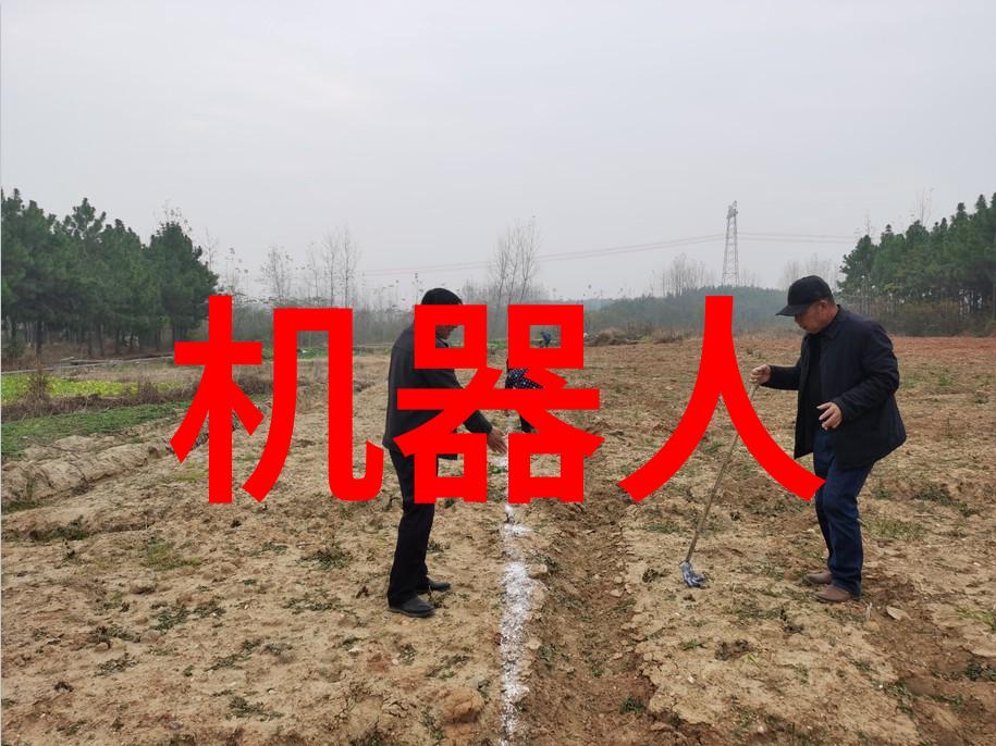 干燥大师带式机的逆袭之旅
