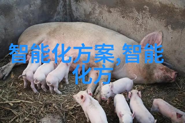 广东不锈钢管厂家联系方式一览获取专业生产商信息