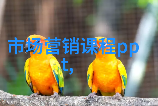 深度剖析如何高效编写审计报告中的关键段落