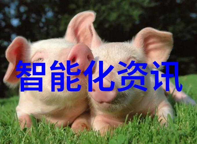 亲昵边摸边亲奶的诱人体验探索视频中的性感魅力