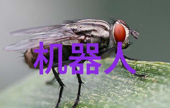 医疗之心纯化水设备的秘密守护者