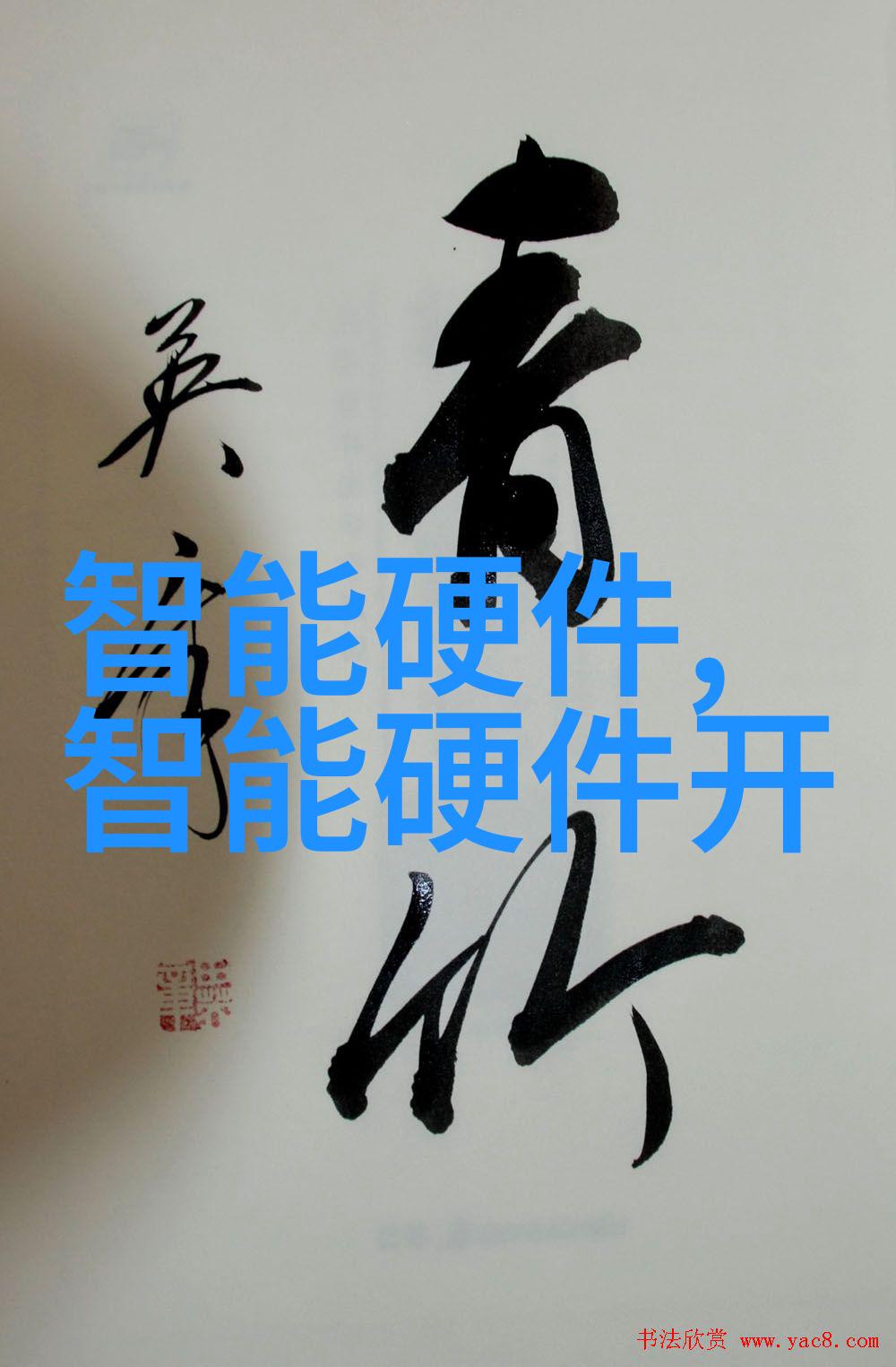 西安财经大学学术与实践的双刃剑