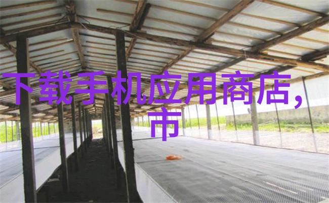 经济学理论研究和金融实践技能训练在高校教学中的重要性是多少
