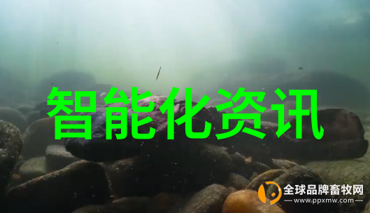 主题我眼中的Sina财经从零到英雄的财经故事