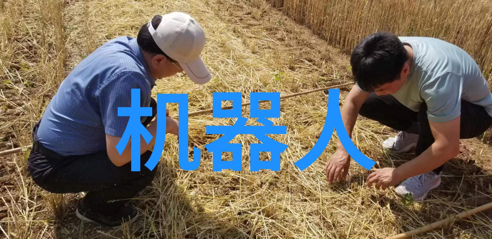 化工产业的主力军探索主要化工产品的生产与应用