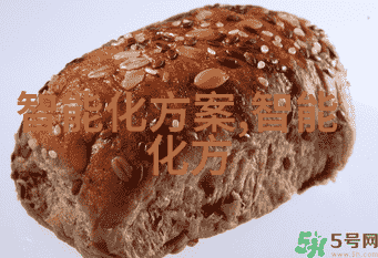 向你申请项目资金申请报告我的致命打算