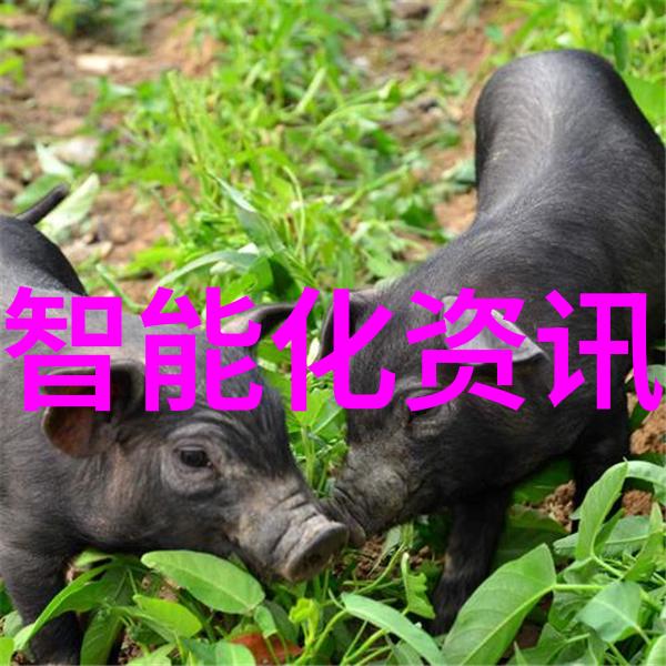 实验室里的温柔与机器的冷酷