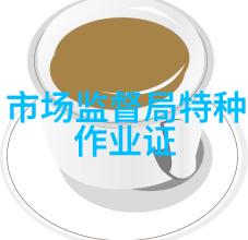 企业动态迈向未来的创新之路