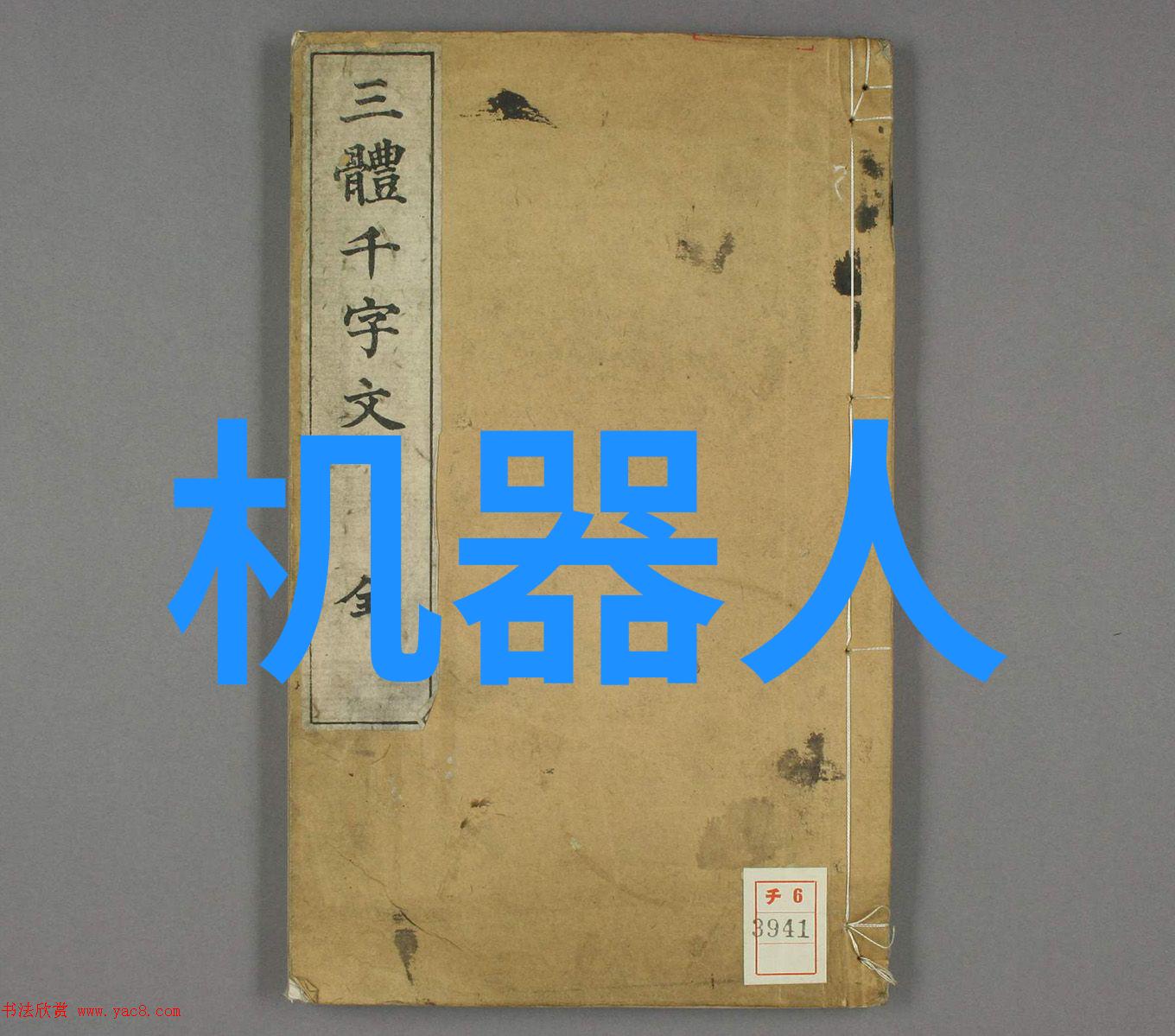 野花全集未删减版绚烂多彩的自然之美