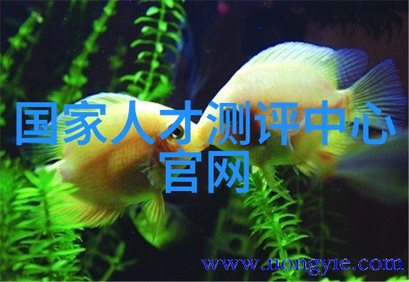 小米新品发布会直播 - 革新未来闪耀夜空揭秘小米最新创意