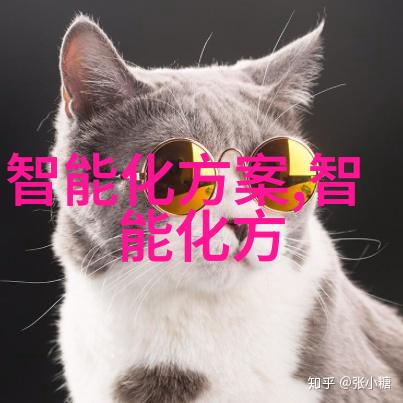安徽省高校之冠职业技术学院的辉煌故事