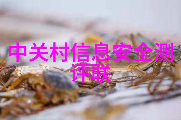 金属之冠不锈钢材质的全方位探索