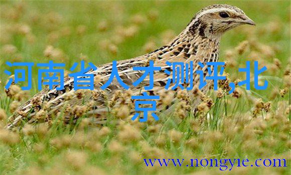 坐在老师的紫根上写作业我是怎么把数学题做完的