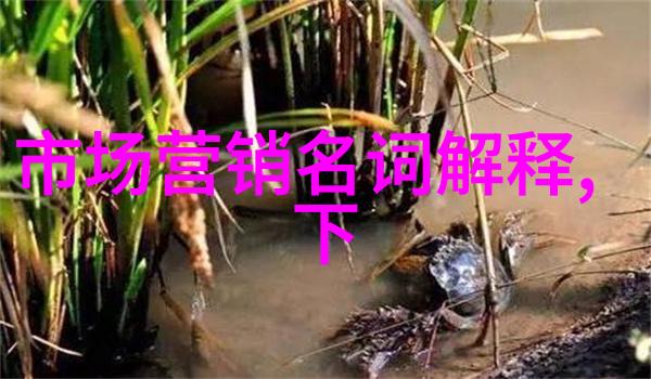 揭秘北京哪些等保测评公司在行