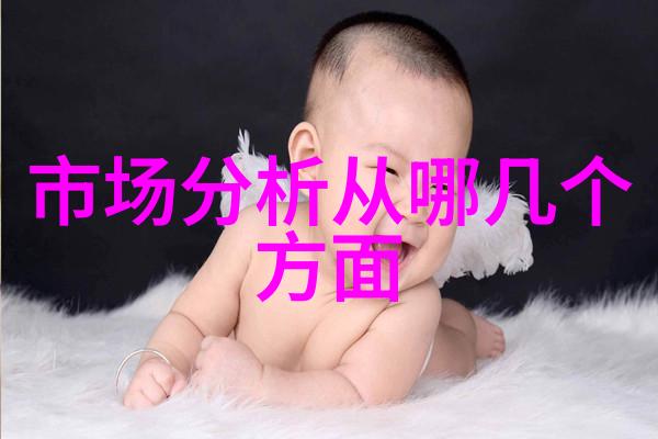 职业探索命运的指南针