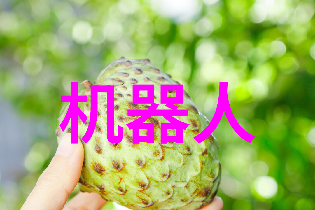 厨房的巨龙烹饪新纪元的诞生