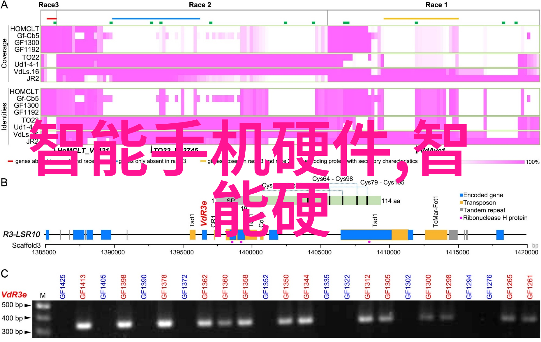 格雷的50道阴影-解锁黑暗深度剖析克里斯汀与格雷的复杂关系