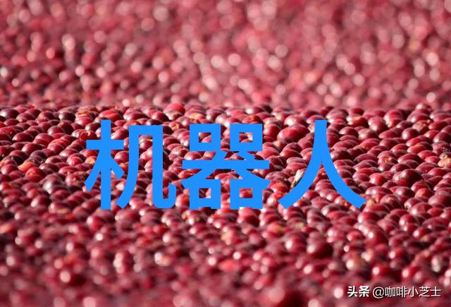 离心设备的秘密旋转在黑暗中的机器之谜