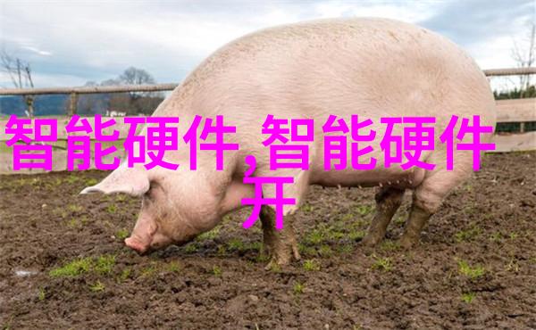 智能装备的智慧之源从算法到物联网学点什么才能让设备更聪明