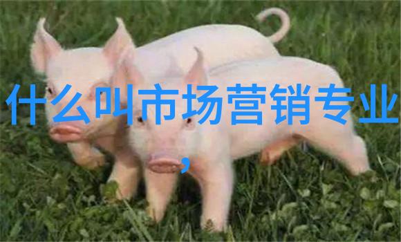 智能手机硬件-探索未来的智能设备核心
