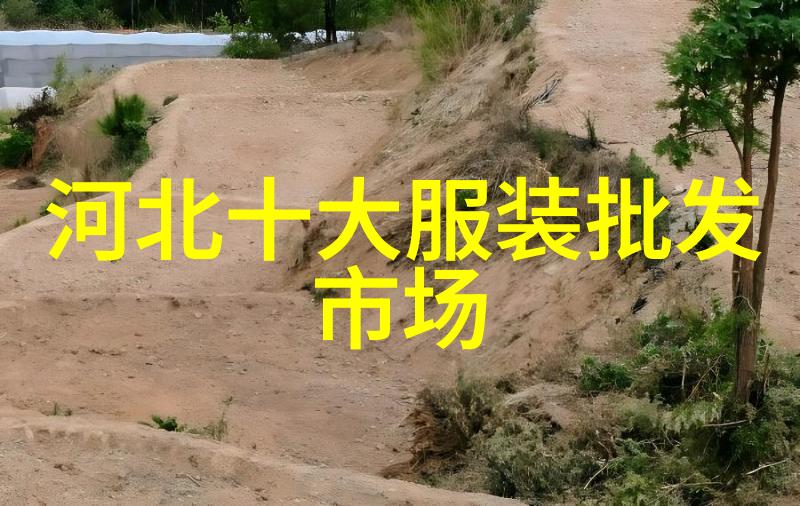 我的万能手环app下载变身生活中的超级英雄
