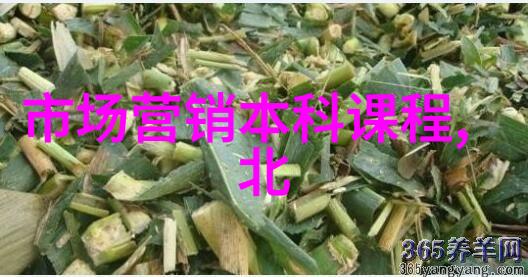 河南PE管材生产厂家绿色环保的选择