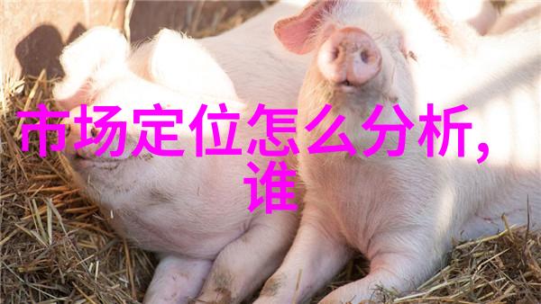 四川省软件测评中心我是如何在这里找到我的代码小天地
