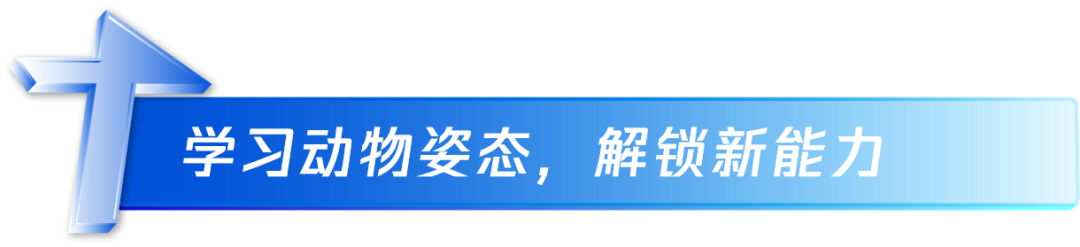 机器人编程培训机构排名_机器人_机器人少儿编程/